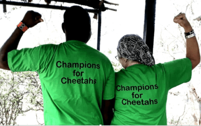 A Conversation with a Cheetah Conservationist: Mary Wykstra from Action for Cheetahs Kenya